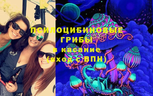 бошки Абаза