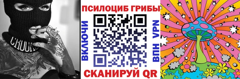дарнет шоп  Вышний Волочёк  Псилоцибиновые грибы Psilocybe 